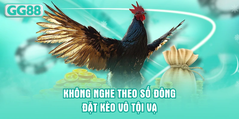 Không nghe theo số đông đặt kèo vô tội vạ
